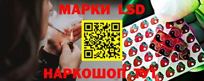 PSILOCYBIN Кинель