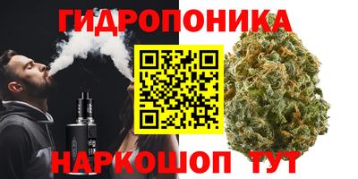 тгк Кимры