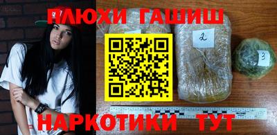 PSILOCYBIN Кинель