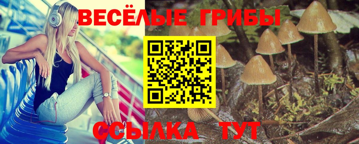 Кисловодск  Псилоцибиновые грибы Cubensis  купить  сайты  Вход с VPN 